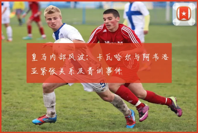 皇马内部风波:卡瓦哈尔与阿韦洛亚紧张关系及青训事件